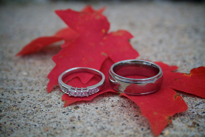 Wedding Rings on maple leaves